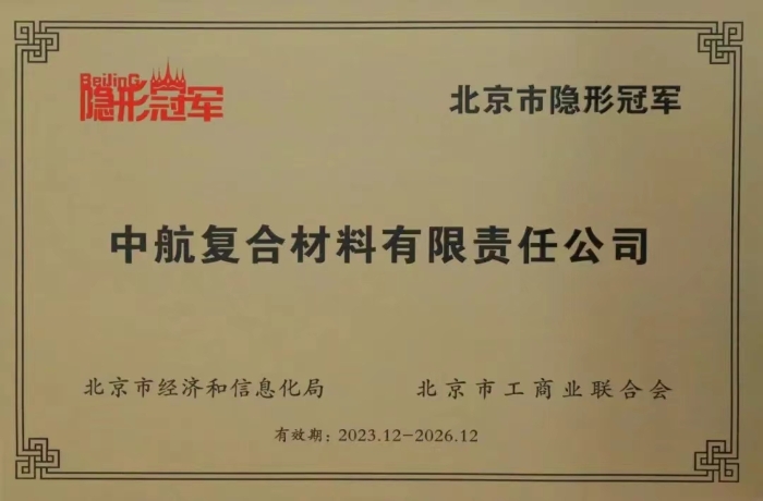 隐形冠军2